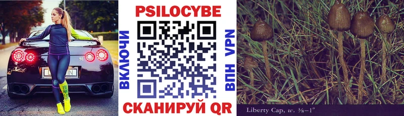 Псилоцибиновые грибы Psilocybe Купить закладки Усолье